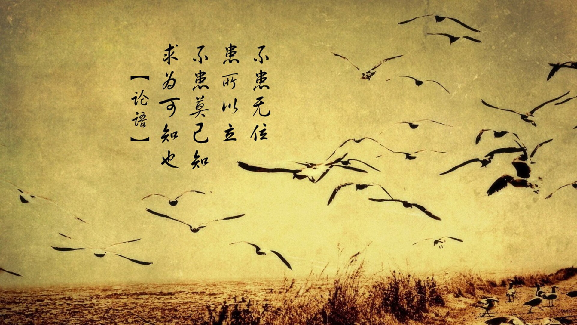 kaiyun.com-《每日镜报》:荷兰女足在预选赛中与德国队激战,荷兰女足德国女足