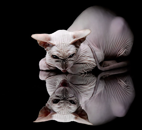 开云体育官方网站登陆-智能化评比系统助力青少年篮球技能提升，赛事更公平公开，智能比赛方案